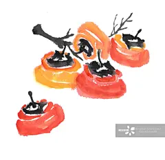 中国画,插画,柿子,水果,水墨画正版图片素材