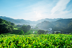 甄蓁采集到实物背景