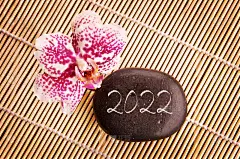2022写在黑色的石头上，粉红色的兰花，禅宗贺卡
