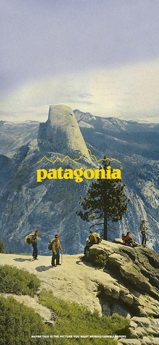 Patagonia 将自己卖给地球，真环...