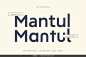Mantul专业简约时尚企业品牌logo标识广告海报封面无衬线英文字体