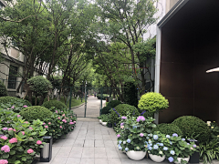非常不可乐采集到新花境