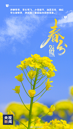 寂离采集到2025年海报
