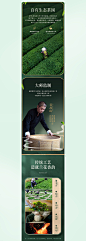 X2中国地理标志产品铁观音 茶叶详情页摄影分享 (4)