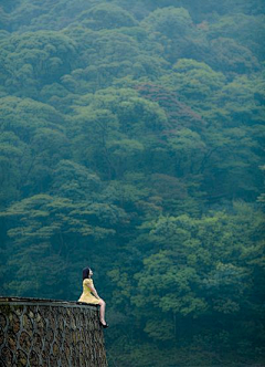 槐花飘香时2013采集到唯美