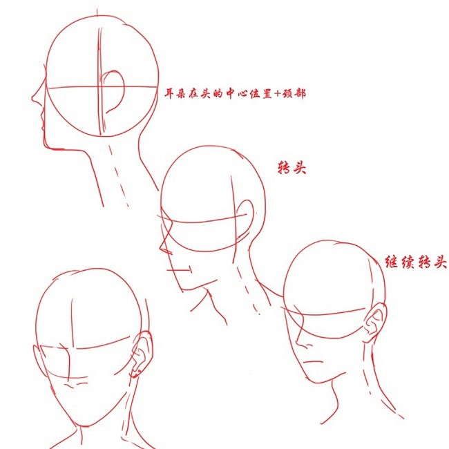 文章-耳朵和鼻子的画法 | 半次元-AC...