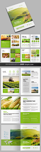 绿色农业画册农产品宣传册