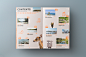 book brochure cover design editorial Guide Travel typography  