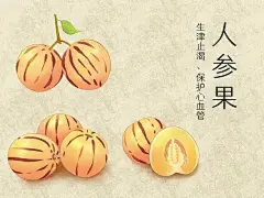 人参果插画的搜索结果_百度图片搜索