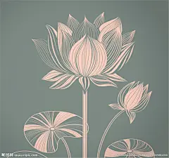 创意线描荷花设计矢量图