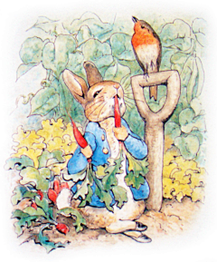 zxytc007采集到波特女士Helen Beatrix Potter