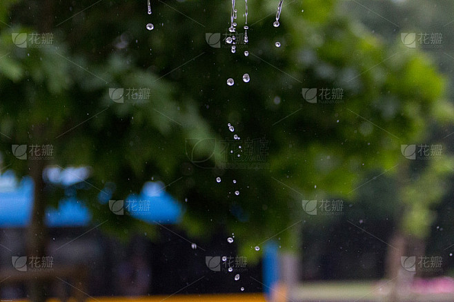 一缕雨水从雨篷和绿树上滴下来