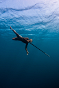 fabforgottennobility:

"He remembers the Japanese passing through during WWII. He was spear fisherman then, and still today at around 80 years old (he does not know how old he is), he remains a spear fisherman. He earns little from his catch maybe 2-