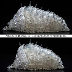 CG寒江采集到未命名画板