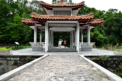 etipiero采集到05-17 仙湖植物园