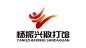 杨振兴搏击散打培训中心LOGO设计