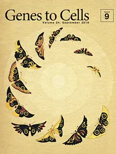 浮世绘风格！《Genes to Cells》杂志封面设计 - 优优教程网 - 自学就上优优网 - UiiiUiii.com : 一组日本分子生物学学会创办的杂志《Genes to Cells》的封面设计，用古典有韵味的浮世绘风格描绘极具现代感与科技感的基因与细胞课题，莫名地和谐有趣！