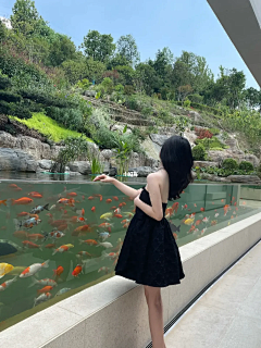 一横l采集到现代别墅庭院
