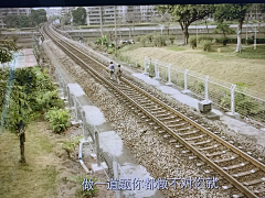 波蒂瓜采集到人不狂飙枉少年