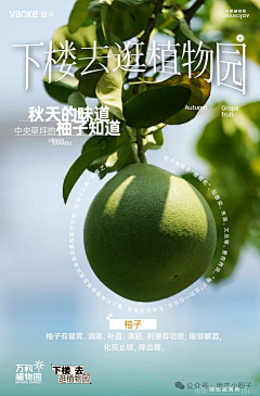看看啥看采集到万科