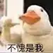 SHINO-