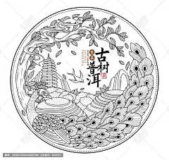 云南古树普洱茶包装插画线稿