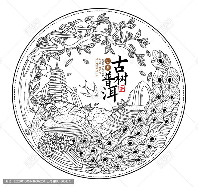 云南古树普洱茶包装插画线稿