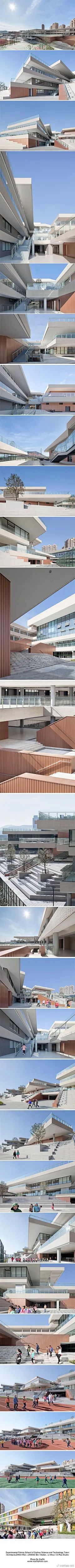 苏州科技城实验小学 / 建筑师：周蔚＋张斌 @aZPlus （致正建筑工作室），李硕（大正建筑工作室）@李硕_大正建筑 / 摄影：@建筑摄影-夏至  / @設計物語LAI @ikuku建筑网  @abbscom @建筑在线 @全球建筑资讯    @建筑评话@聞曉  @每筑建文