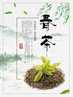 春茶海报  - 源文件下载【酷图网】春茶海报,春茶横版,春茶横幅,春茶上新海报,上新海报,茶叶海报,茶文化,春茶上新,茶叶,绿色背景,植物背景,绿化背景,摘茶,采茶,卡通人物,采茶人物,茶叶原始,茶叶插画,