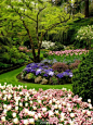 景观绿化#zoscape#植物景观#植物配置#植物造景 意向图 景观前线 访问www.inla.cn下载高清
