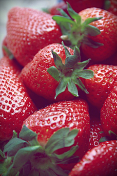 阿布m采集到草莓草莓~~