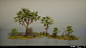 Alara Prime - Oasis Vegetation