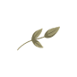 手绘卡通小鸟鲜花春季PS元素免抠PNG图案印刷包装背景AI矢量手账 (19)