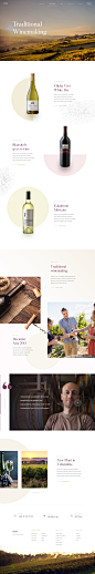 Winery - Landing Page<br/>by Martin Strba for Balkan Brothers