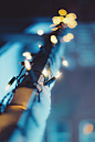 Day 350/365: Christmas Lights {Explored} (by jennydasdesign)