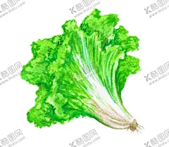 手绘彩色蔬菜免扣素材图片 【酷图网】青菜插画,蔬菜插画,手绘蔬菜,手绘青菜,健康饮食,果蔬,蔬菜,水果,饭菜,绿色蔬菜,食物手绘,小清新,素材,美食,餐饮,手绘,食材,插画,火锅食材,食物,光盘行动,拒绝浪费,光盘,公益,宣传,卡通,PNG,免抠,免抠图,抠图,元素,透明,蔬菜素材,蔬菜沙拉,沙拉,有机蔬菜,天然,健康,生菜,菜叶