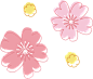 花朵 