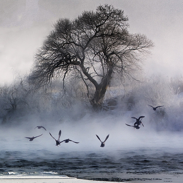 梦境一样的场景好朦胧的感觉