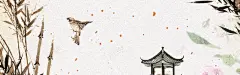 惊蛰植物清新banner海报背景 背景 设计图片 免费下载 页面网页 平面电商 创意素材