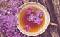 【花落待歌杯】tea-cup-lemon-flowers-purple-lilac-hd-wallpaper.jpg (1680×1050)