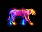 Fantasy Tiger colorful beast fur animal illustration fantasy light tiger