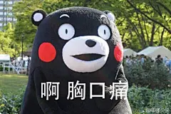 拥有一大波熊本熊表情包是一种什么样的体验？ - 搞笑 - 知乎