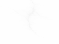 446_664088937
