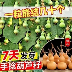抖快直播鎏金招财进宝日进斗金手机壁纸改字PSD源文件素材-淘宝网