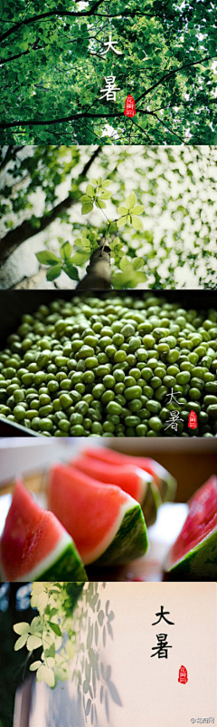 小井君采集到茶
