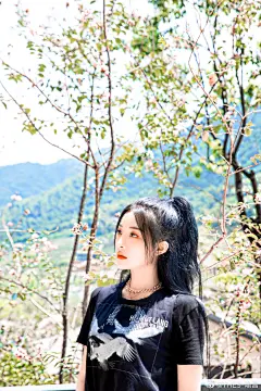 喻言溶素/油菜籽饼调
