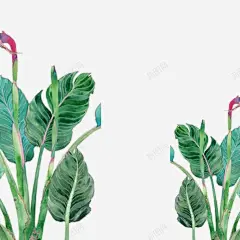 绿色插画风树叶 平面电商 创意素材