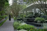 居住区大区景观