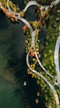 水清波滟 白桥穿林间——成都兴隆湖·湖畔森林图书馆 / 昱道景观 – mooool木藕设计网