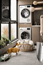 (5) Pinterest